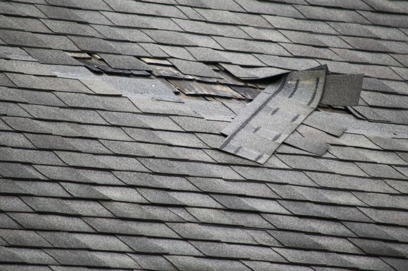 Roof Inspection and Damage Assessment