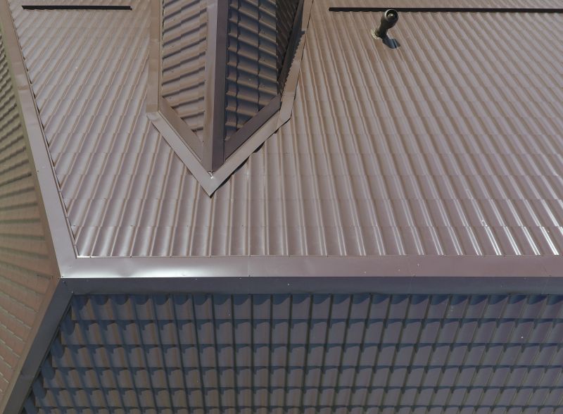 Specialized Roofing Projects